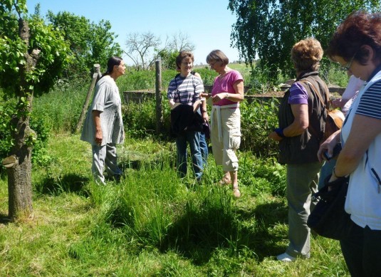 Kräuterwanderung und Kräuterkurs